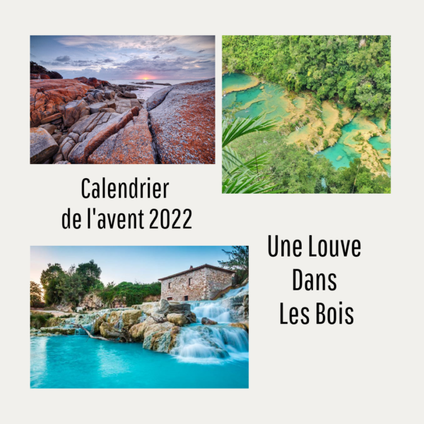 Calendrier de l'avent 2022