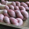 louve-yak-single-coral-bay-1 louve-yak-single-coral-bay-1