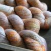 louve-yak-single-marmelade-d-agrumes-2 louve-yak-single-marmelade-d-agrumes-2
