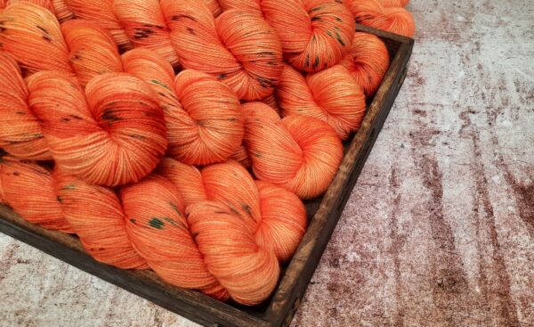Pumpkin – Couleurs d'automne (précommande)