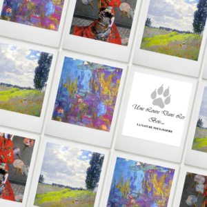 DOUBLE YARN CLUB Janvier Février Mars 2026 : Claude Monet