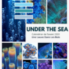 1 Adventskalender - UNDER THE SEA - 24 dagen
