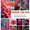 3 Adventskalender - UNDER THE SEA - 24 dagen