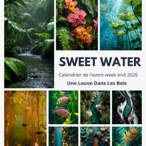 Calendrier de l'avent - Spécial week end - SWEET WATER