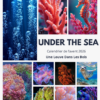 calendrier avent 2026 - under the sea - page principale calendrier avent 2026 - under the sea - page principale