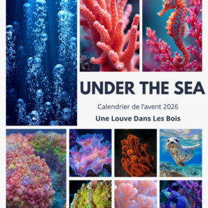 Calendrier de l'avent - UNDER THE SEA - 24 jours