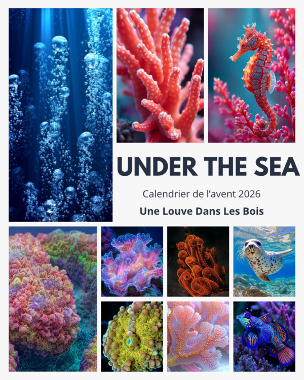 calendrier avent 2026 - under the sea - page principale calendrier avent 2026 - under the sea - page principale