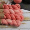 une-louve-dans-les-bois-1-laine-artisanal-teinte-main-emy-merino-surialpaga-caliente-coral-bay une-louve-dans-les-bois-1-laine-artisanal-teinte-main-emy-merino-surialpaga-caliente-coral-bay