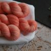une-louve-dans-les-bois-1-laine-artisanal-teinte-main-fine-sock-merino-coral-bay une-louve-dans-les-bois-1-laine-artisanal-teinte-main-fine-sock-merino-coral-bay