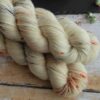 une-louve-dans-les-bois-2-laine-artisanal-teinte-main-DK-merino-nebuleuse une-louve-dans-les-bois-2-laine-artisanal-teinte-main-DK-merino-nebuleuse