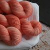 une-louve-dans-les-bois-2-laine-artisanal-teinte-main-fine-sock-merino-coral-bay une-louve-dans-les-bois-2-laine-artisanal-teinte-main-fine-sock-merino-coral-bay