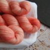 une-louve-dans-les-bois-2-laine-artisanal-teinte-main-twist-sock-merino-coral-bay une-louve-dans-les-bois-2-laine-artisanal-teinte-main-twist-sock-merino-coral-bay