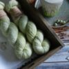 une-louve-dans-les-bois-3-merino-artisanal-teinte-main-single-minty une-louve-dans-les-bois-3-merino-artisanal-teinte-main-single-minty