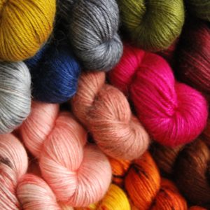 une-louve-dans-les-bois-ASC-DK-groupe-2