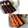 une-louve-dans-les-bois-bonnet-jolies-fleurs-3 une-louve-dans-les-bois-bonnet-jolies-fleurs-3